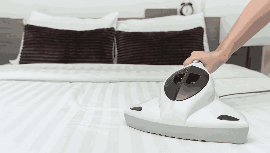 Professional Mattress Cleaning Elwood